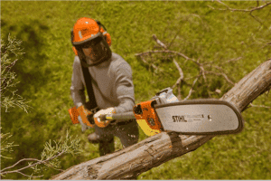 Stihl HT 75 Pole Saw - featured image