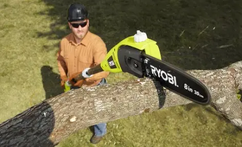 Best Rated Electric Pole Saws of 2024: Cordless & Corded Top Picks 1 best rated electric pole saw​