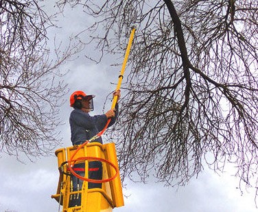 hydraulic pole saw​
