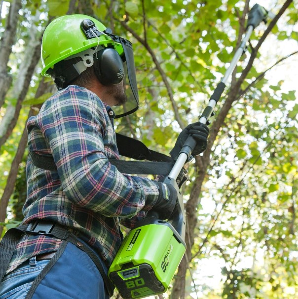 pole saw reviews - featured image