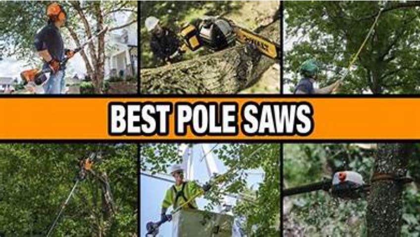Pole Saw Reviews 2024: Top Electric, Cordless & Battery-Powered Models Compared 1 pole saw reviews